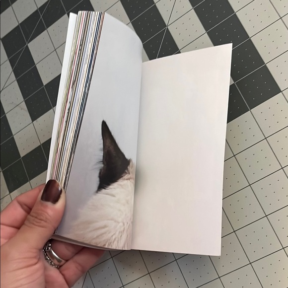 Red and Gold Grumpy Cat book - Picture 5 of 9